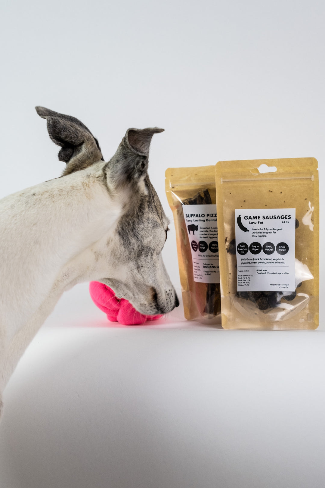 Autumn's Appetite Mystery: What's Making Your Dog So Hungry